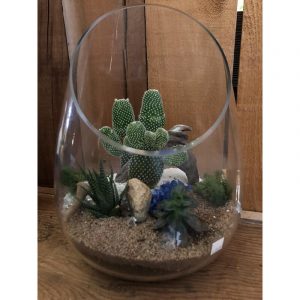 terrarium-vase-large-9999