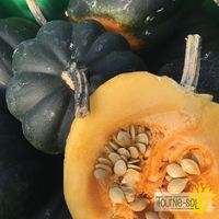 courge-poivree-sweet-reba