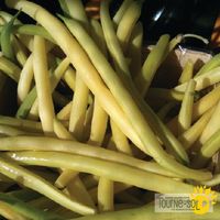 haricots-nains-jaunes-rocdor