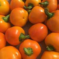 piment-fort-carrot-bomb