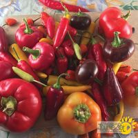 piment-fort-melange