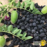 pois-chiche-black-kabouli