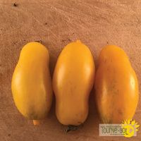 tomate-banana-legs