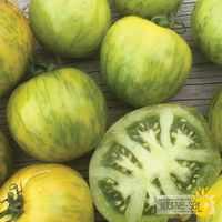 tomates-vertes-green-zebra