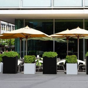 fyor-twist