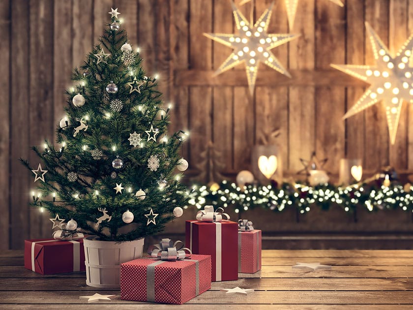 sapins-de-noel