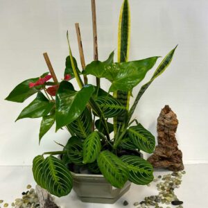 arrangement-funeraire-1-1.jpg