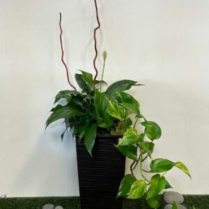 arrangement-funeraire-10-1.jpg