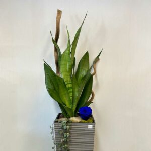 arrangement-funeraire-11-1.jpg