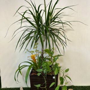 arrangement-funeraire-12-1.jpg