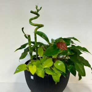 arrangement-funeraire-13-1.jpg