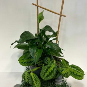 arrangement-funeraire-3-1.jpg
