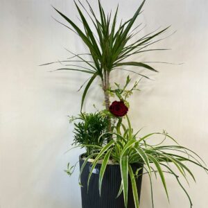 arrangement-funeraire-7-1.jpg
