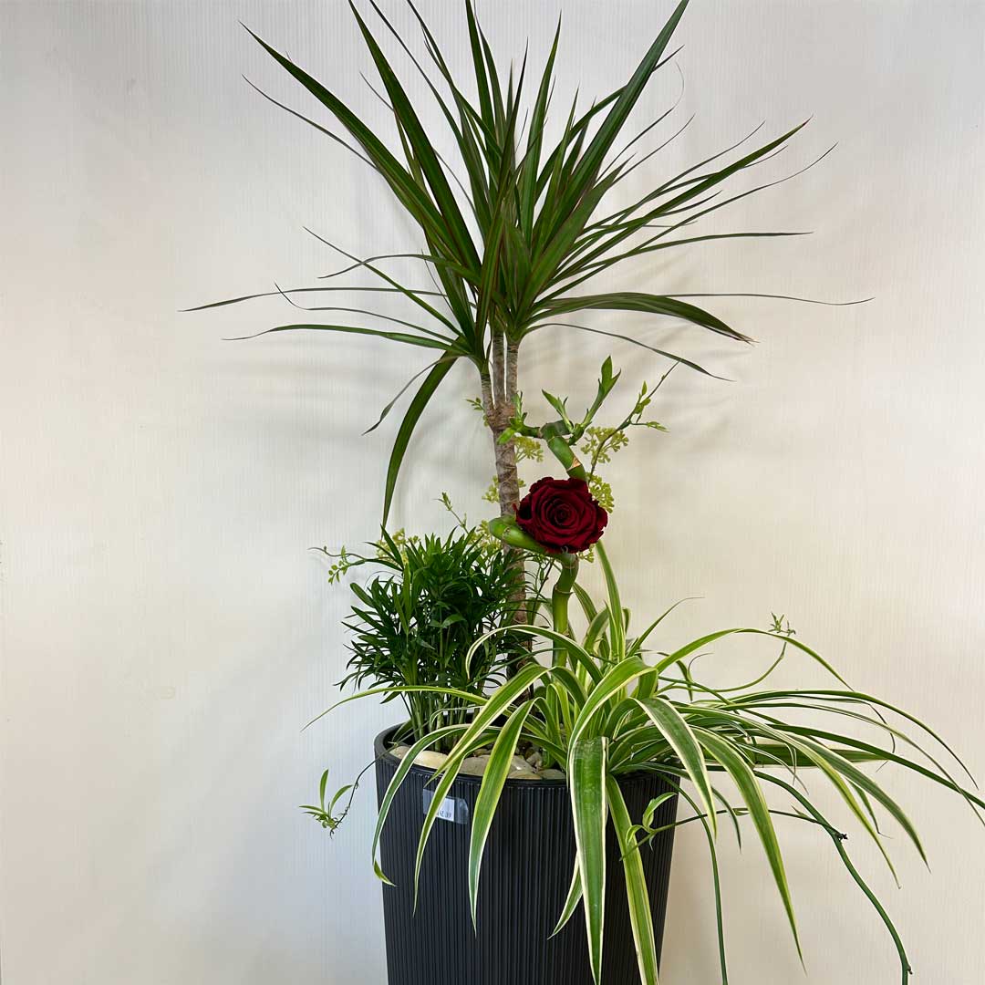 arrangement-funeraire-7-1.jpg