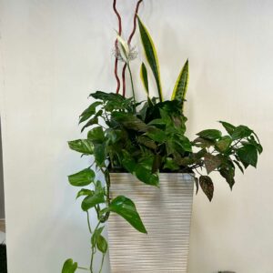 arrangement-funeraire-9-1.jpg