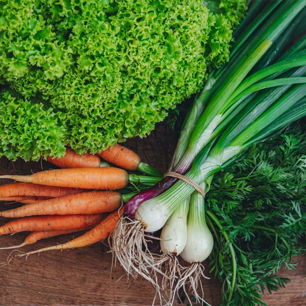 classique-potager-francais